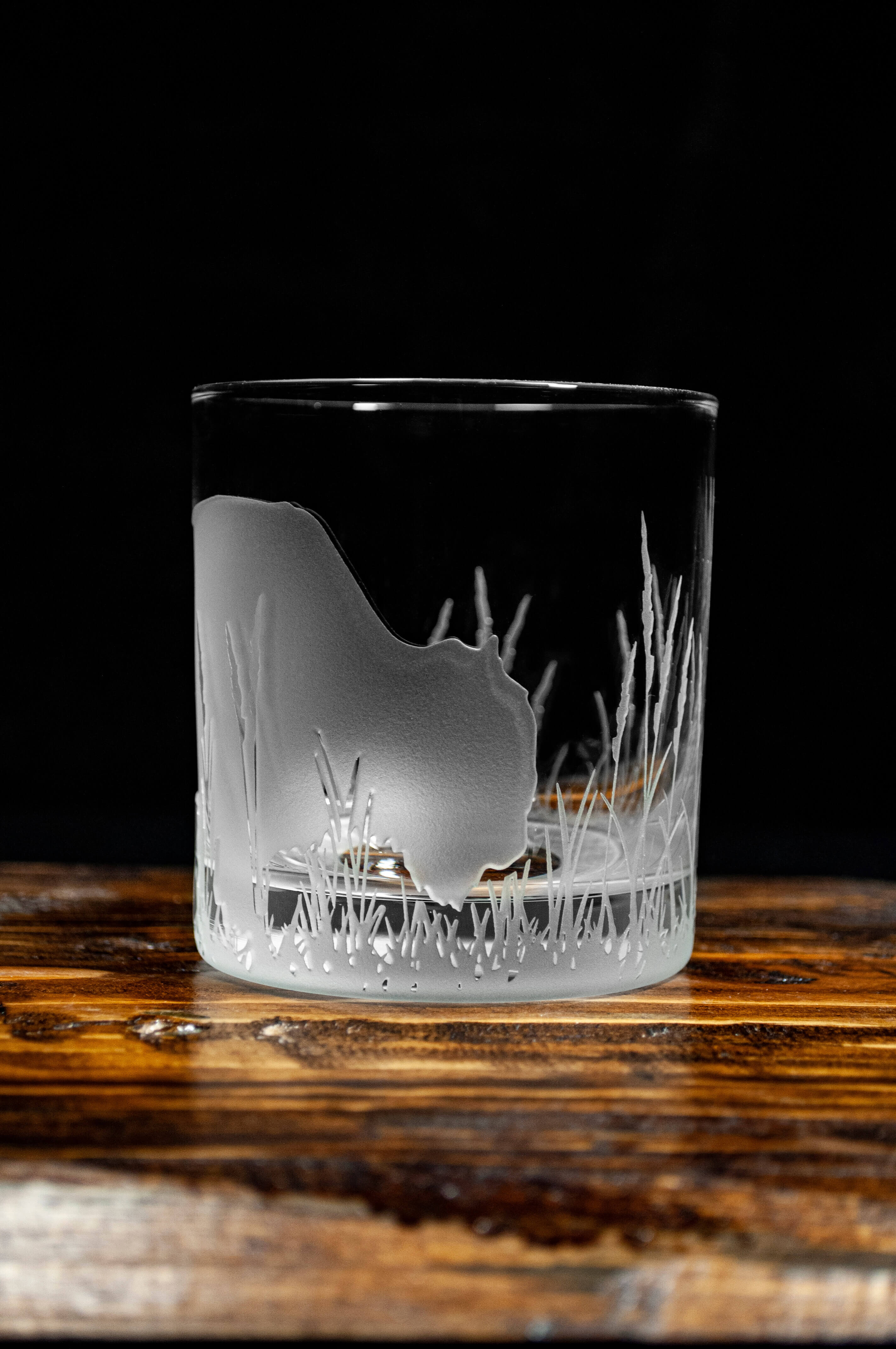 Round Rock Glass : Bison in Tall Grass